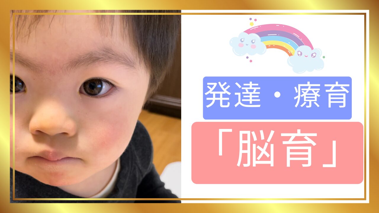 発達・療育「脳育」